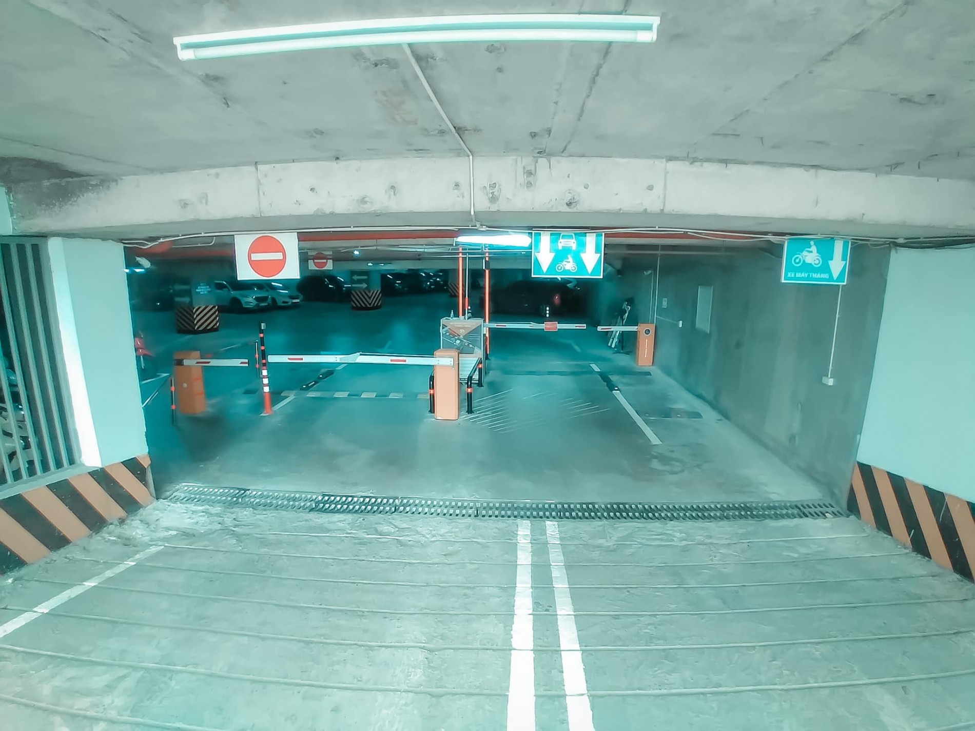 244712411_4361084570623867_2240381261106241032_n